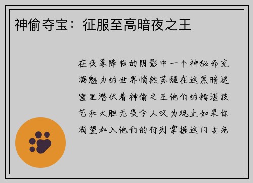 神偷夺宝：征服至高暗夜之王