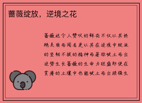 蔷薇绽放,逆境之花
